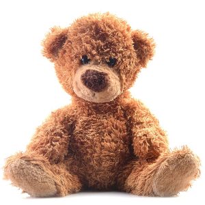 Efficitur tincidunt ornare