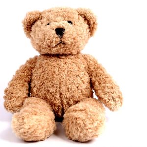 Sed ultrices nisi ut